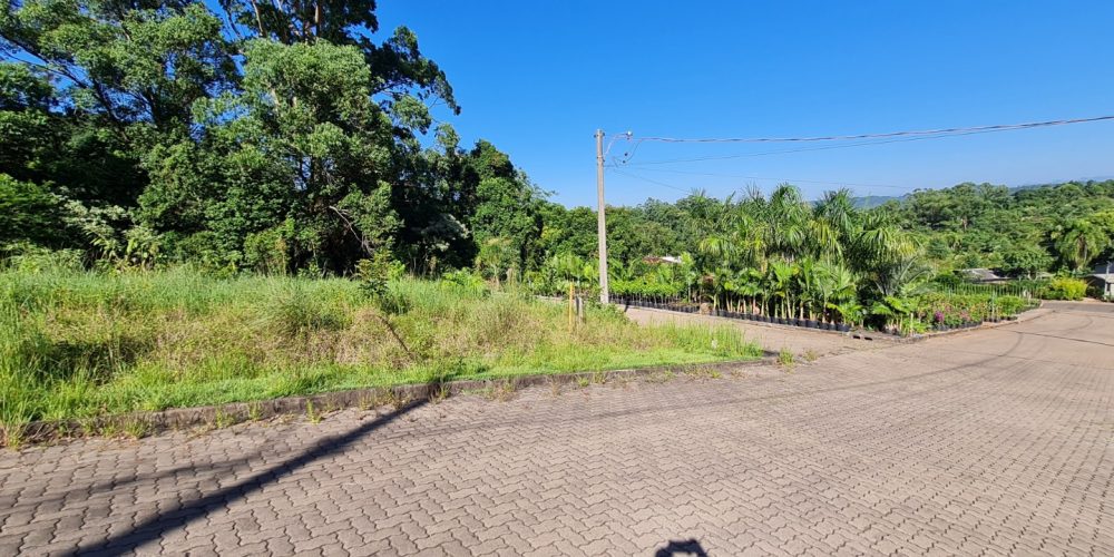 WhatsApp Image 2026-01-13 at 10.26.42