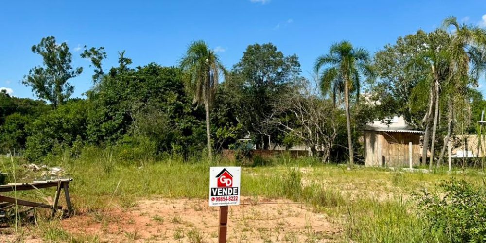 WhatsApp Image 2026-01-29 at 14.18.18 (1)