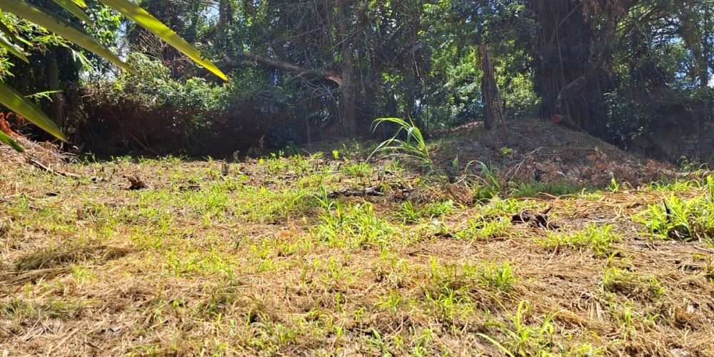 WhatsApp Image 2026-02-02 at 11.01.43