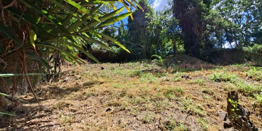 WhatsApp Image 2026-02-02 at 11.01.45