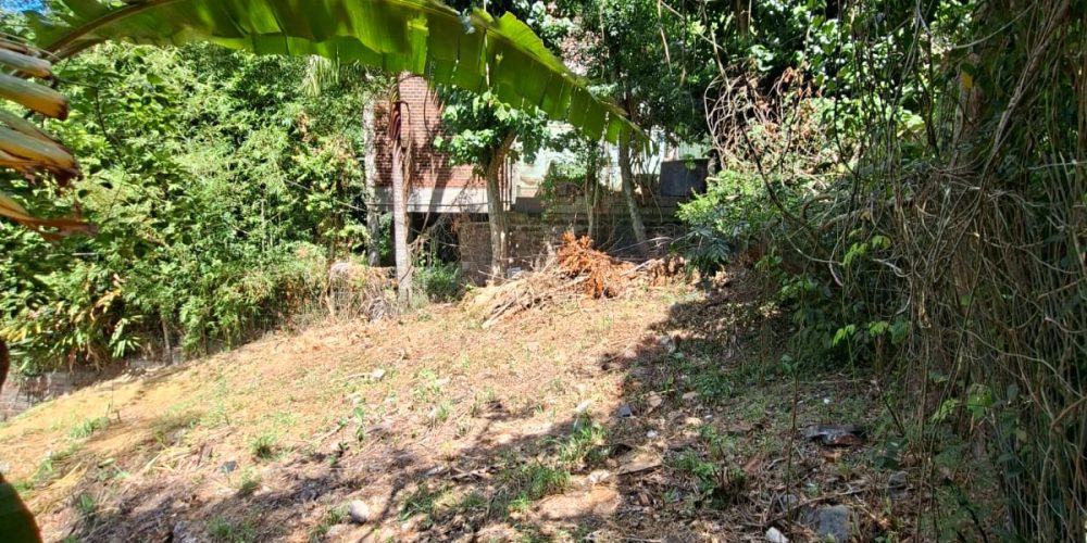 WhatsApp Image 2026-02-02 at 11.01.46 (1)