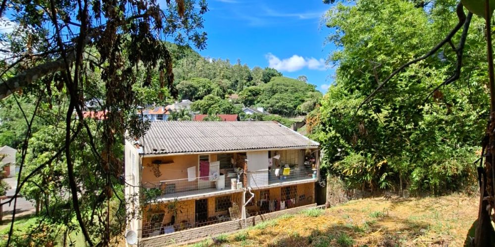 WhatsApp Image 2026-02-02 at 11.01.46