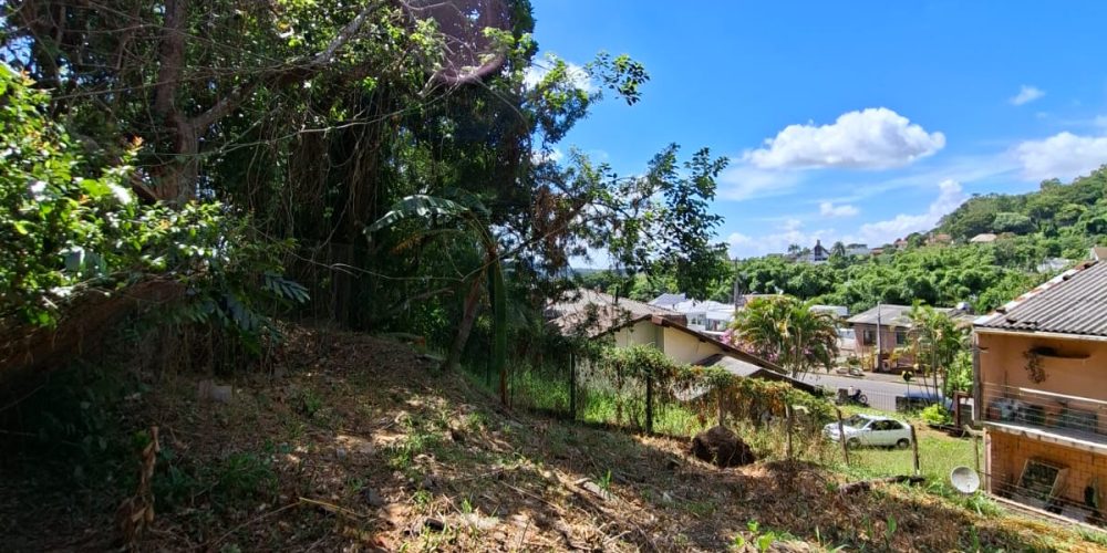 WhatsApp Image 2026-02-02 at 11.01.47 (1)