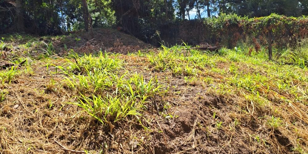 WhatsApp Image 2026-02-02 at 11.01.47 (2)