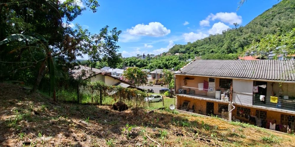 WhatsApp Image 2026-02-02 at 11.01.47