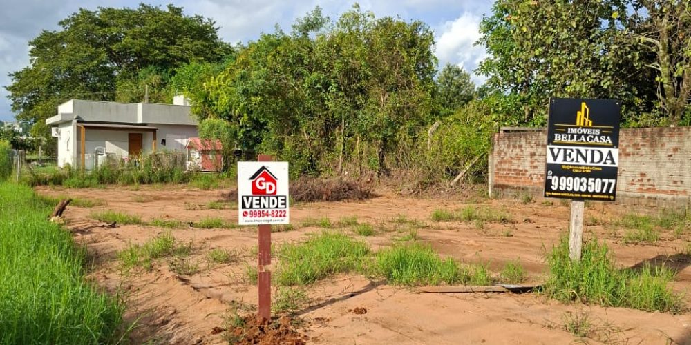 WhatsApp Image 2026-02-02 at 11.28.23