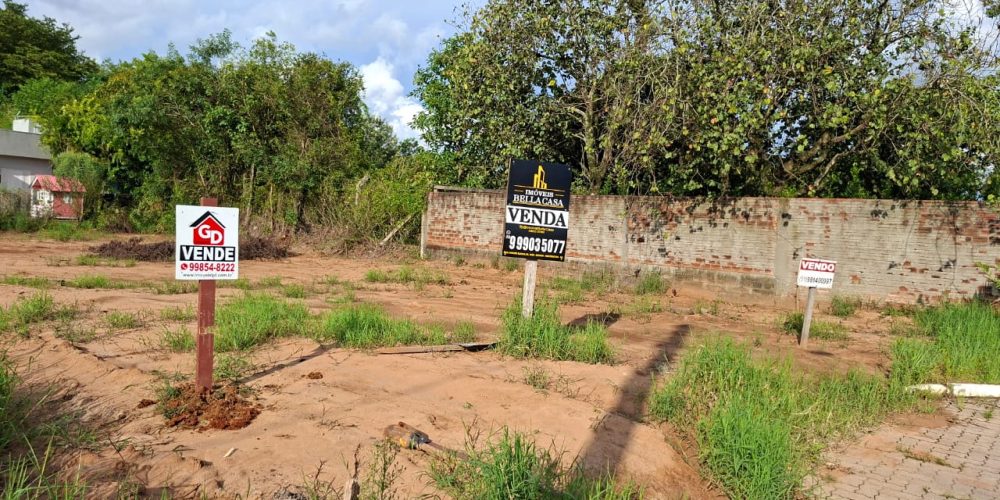 WhatsApp Image 2026-02-02 at 11.28.24