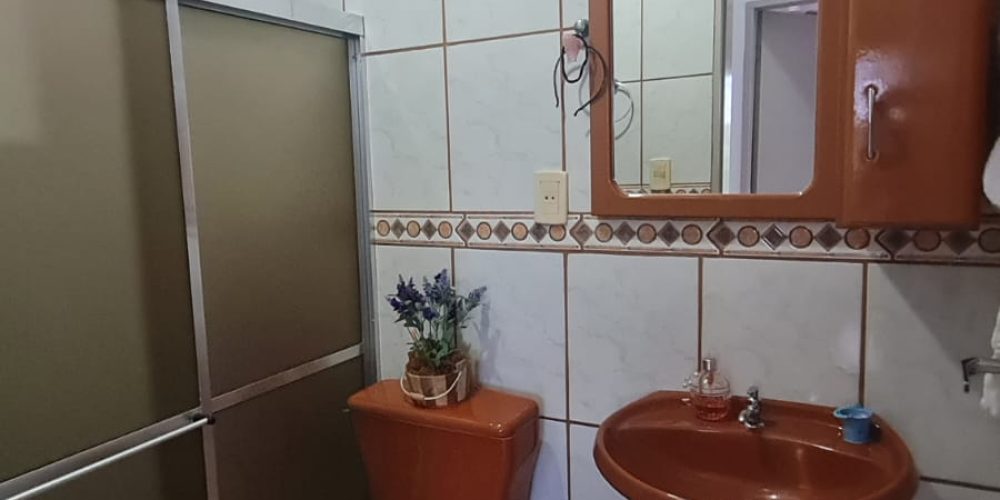 WhatsApp Image 2026-02-11 at 17.50.09 (1)