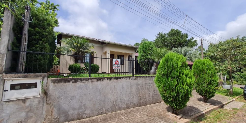 WhatsApp Image 2026-02-23 at 16.25.16