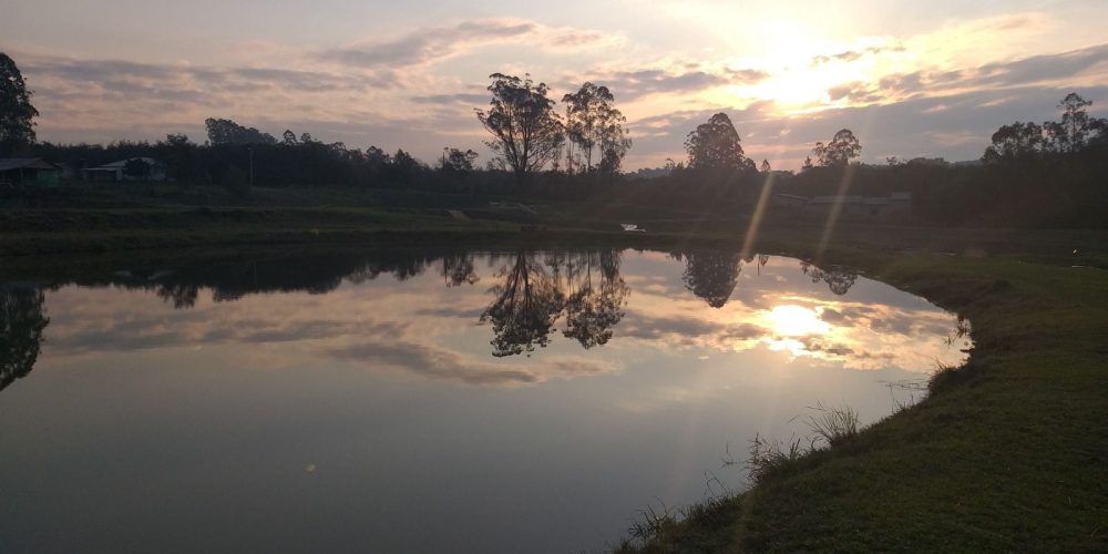 WhatsApp Image 2026-02-27 at 16.17.48