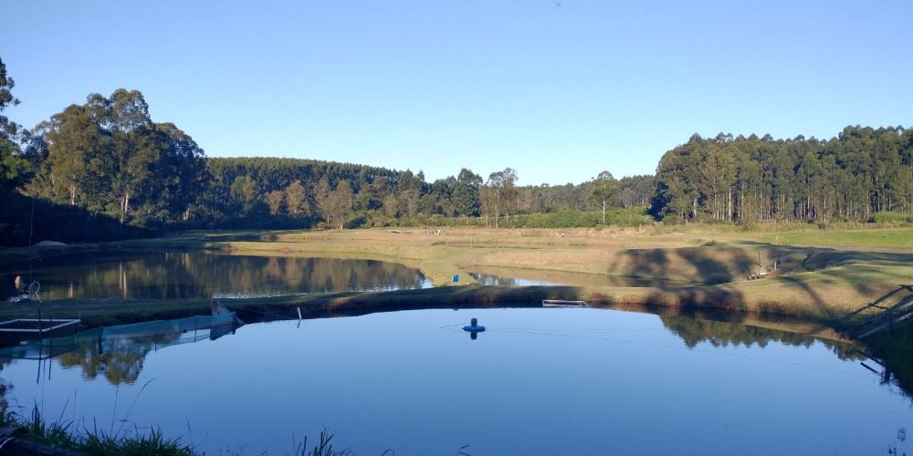 WhatsApp Image 2026-02-27 at 16.17.49 (2)