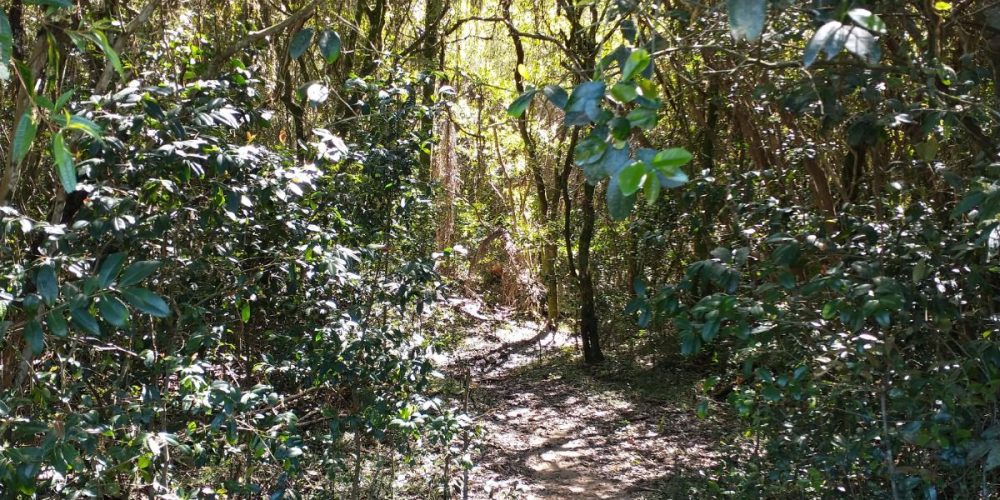 WhatsApp Image 2026-02-27 at 16.17.49