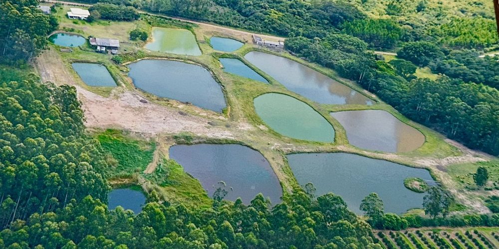 WhatsApp Image 2026-02-27 at 16.17.50 (5)