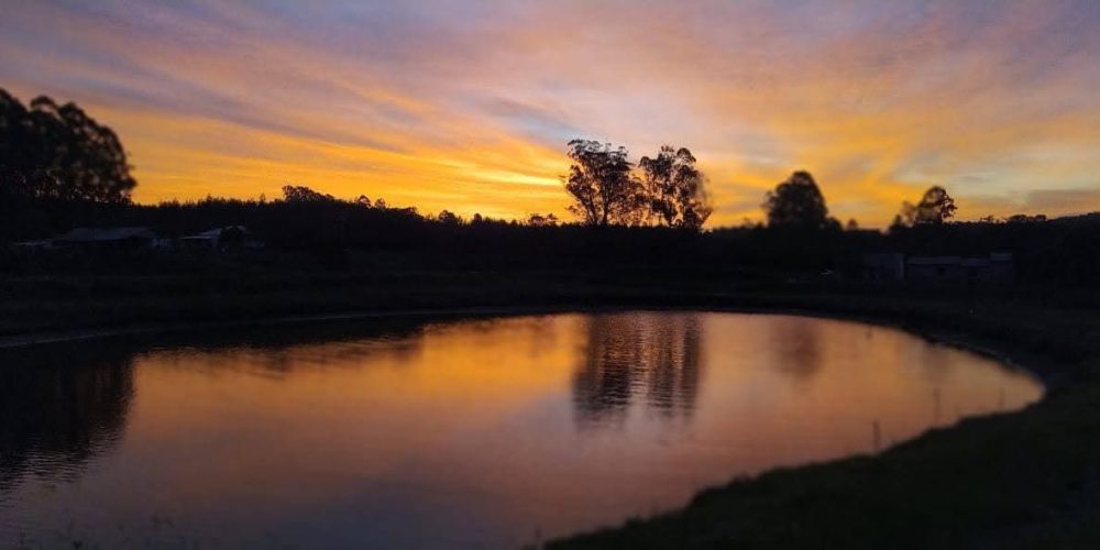 WhatsApp Image 2026-02-27 at 16.17.50