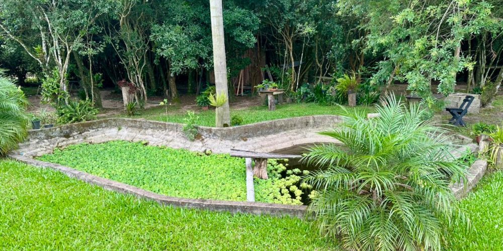 WhatsApp Image 2026-02-27 at 16.17.51 (4)