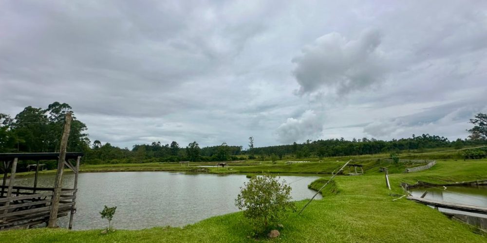 WhatsApp Image 2026-02-27 at 16.17.52 (2)