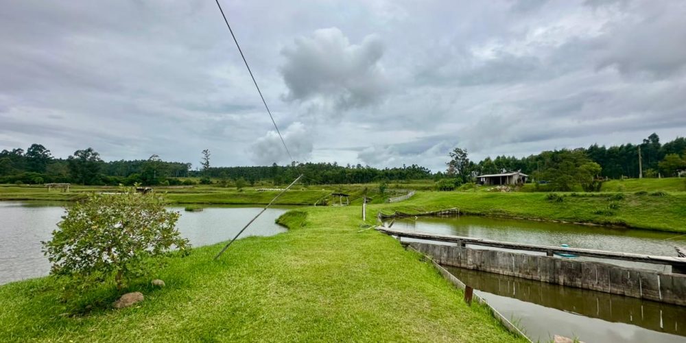 WhatsApp Image 2026-02-27 at 16.17.52 (3)