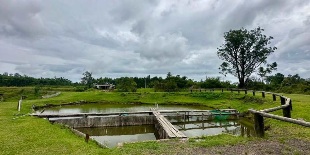 WhatsApp Image 2026-02-27 at 16.17.52 (4)