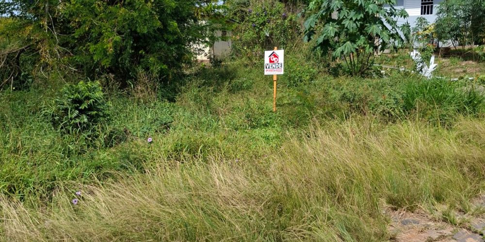 WhatsApp Image 2026-04-20 at 13.49.27 (1)