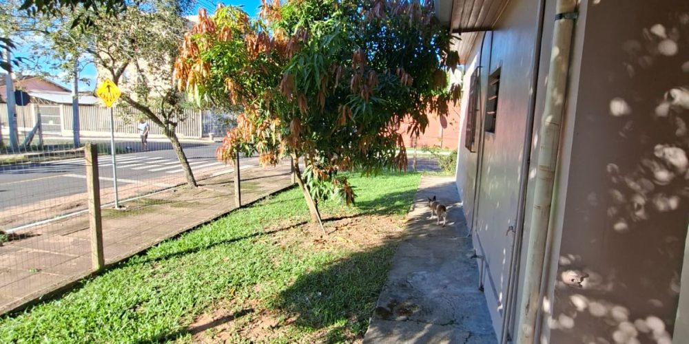 WhatsApp Image 2026-04-29 at 15.33.50