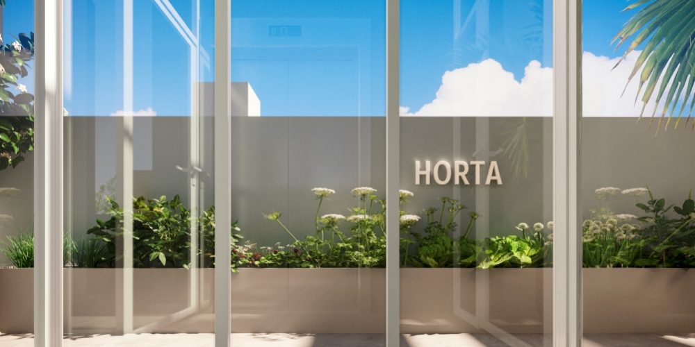 g11-11-2021-0707-1111-3636plantaeimagenscopy480